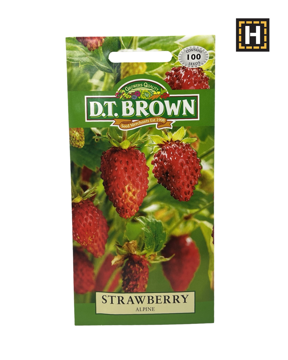 D.T. Brown Seeds - Strawberry Alpinet - 100 Seed Pack view 2