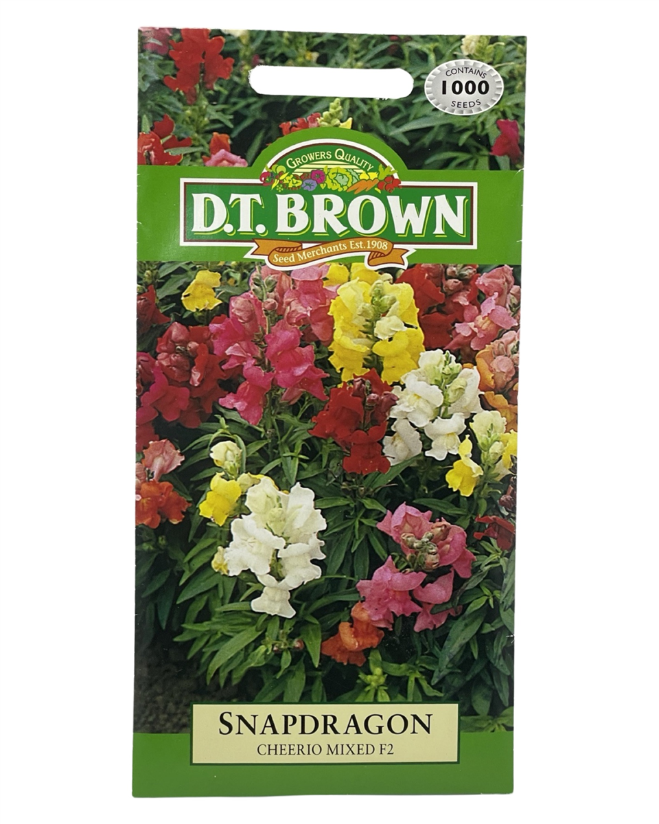D.T Brown - Snapdragon - 500 seed pack view 2