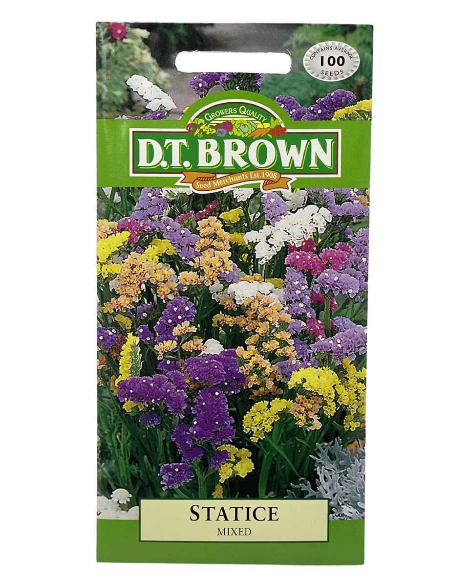 D.T Brown - Statice - 100 seed pack view 2