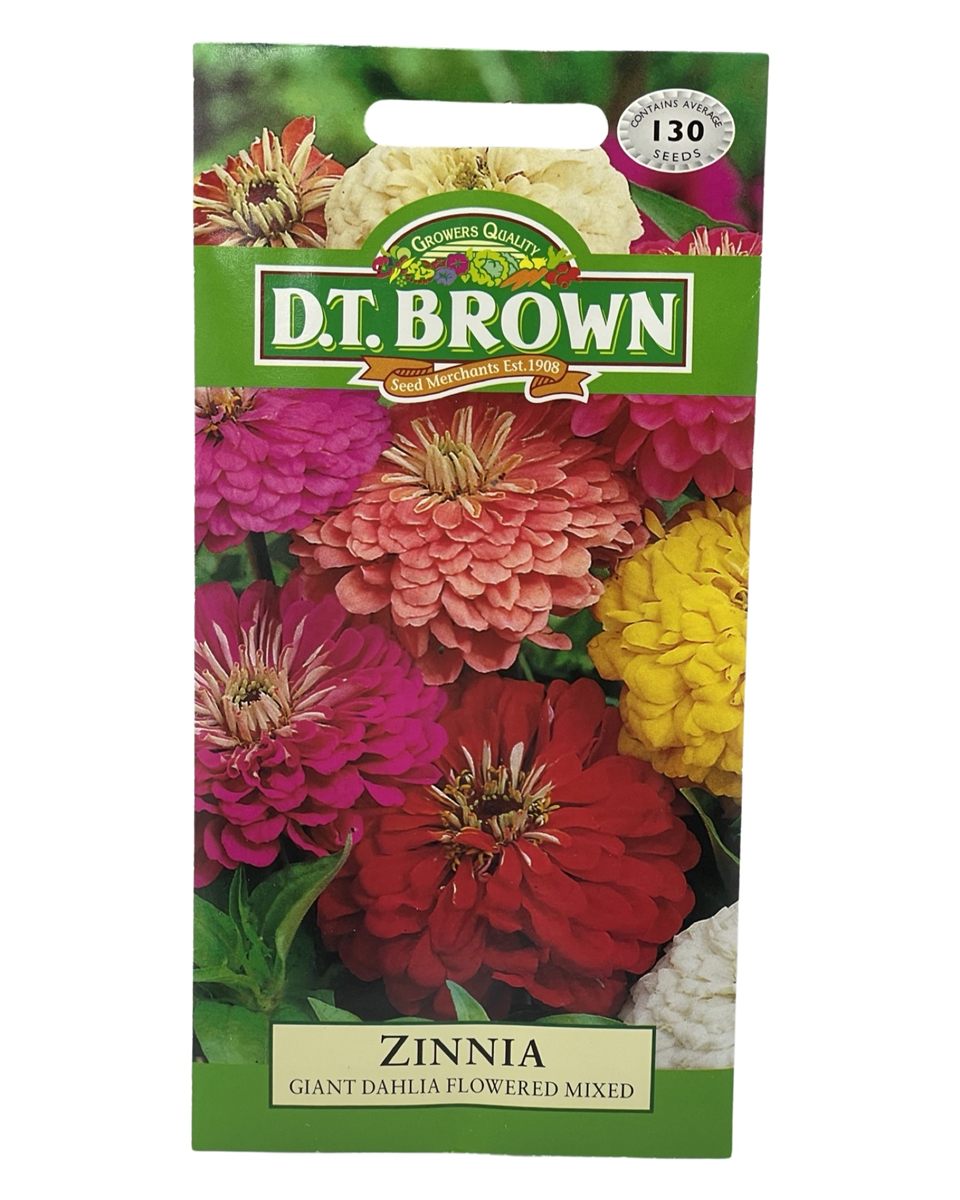 D.T Brown - Zinnia - 130 seed pack view 2