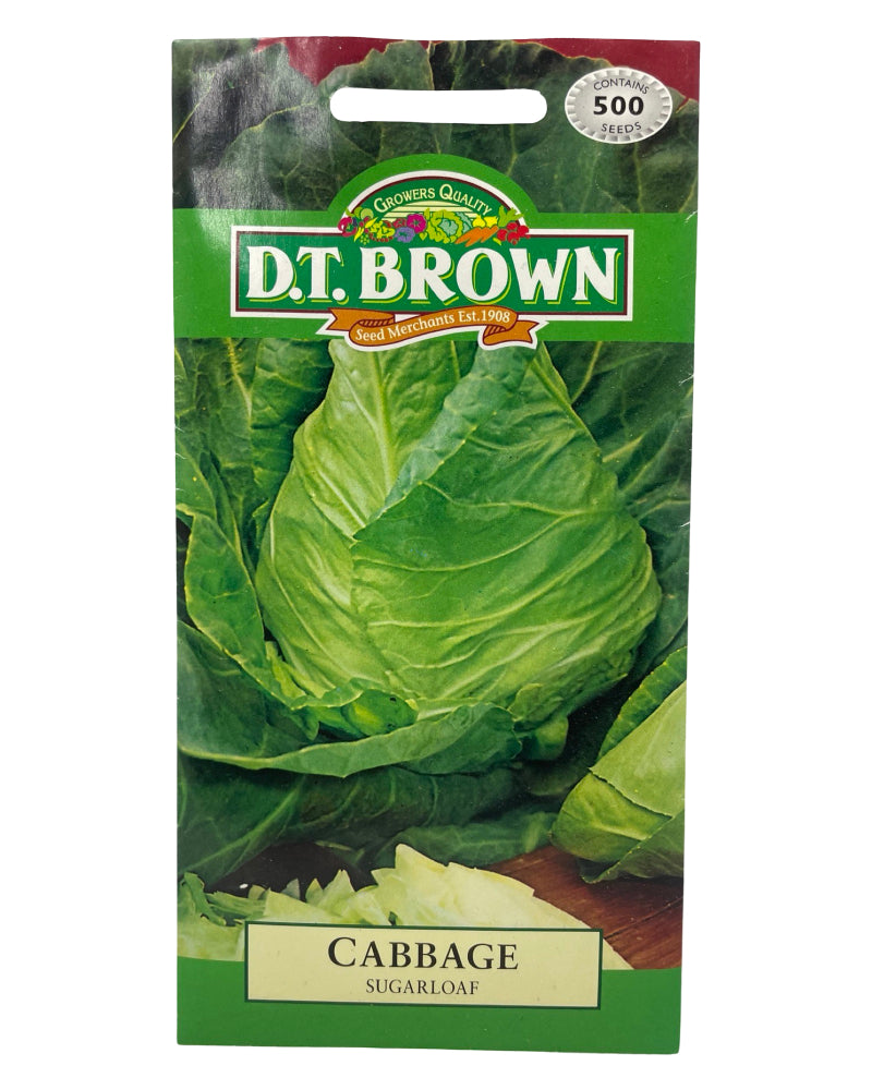 D.T Brown Cabbage Sugarloaf Seeds 500 Pack