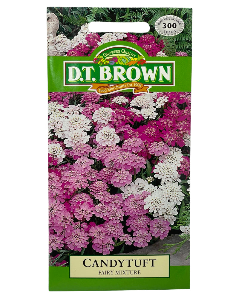 D.T Brown Candytuft Fairy Mixture Seeds 300 Pack
