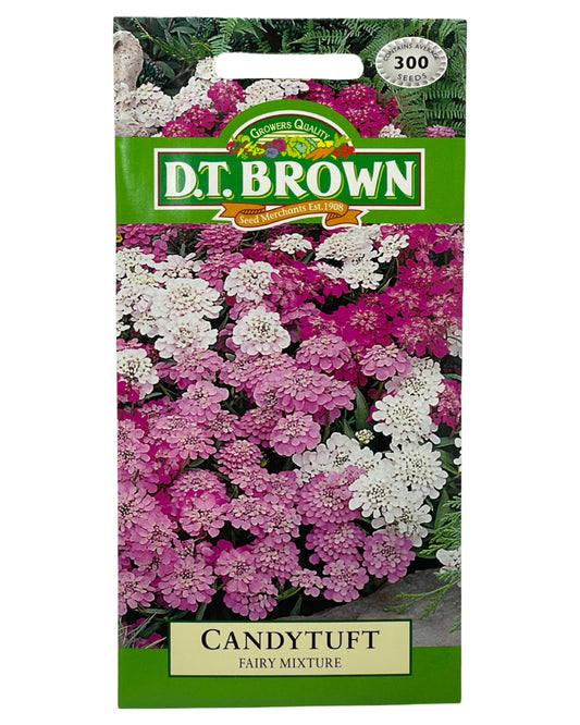 D.T Brown Candytuft Fairy Mixture Seeds 300 Pack