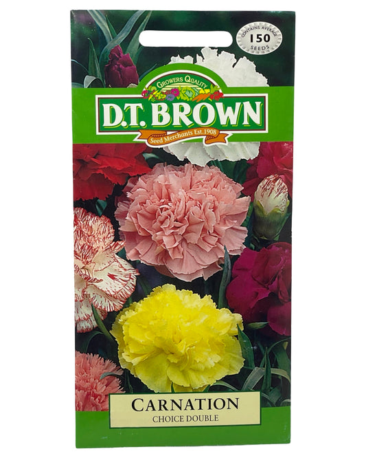 D.T Brown Carnation Choice Double Seeds 150 Pack