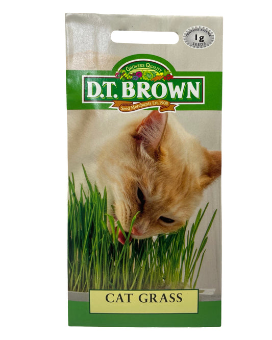 D.T Brown Cat Grass Seeds 1g Pack