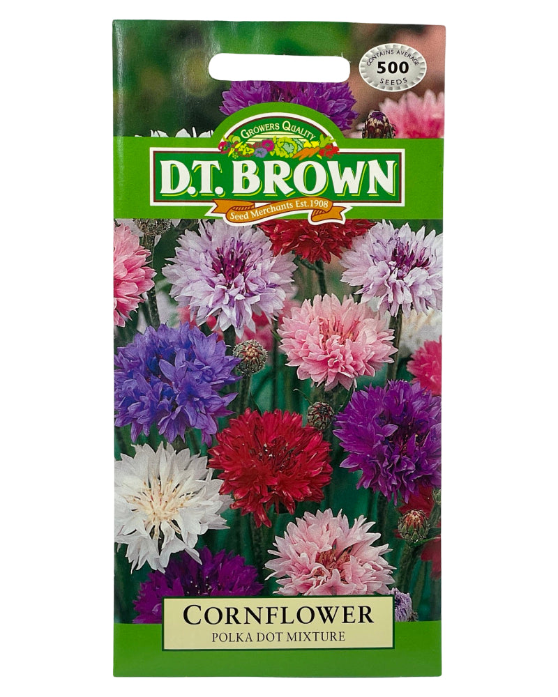 D.T Brown Cornflower Polka Dot Mixture Seeds 500 Pack