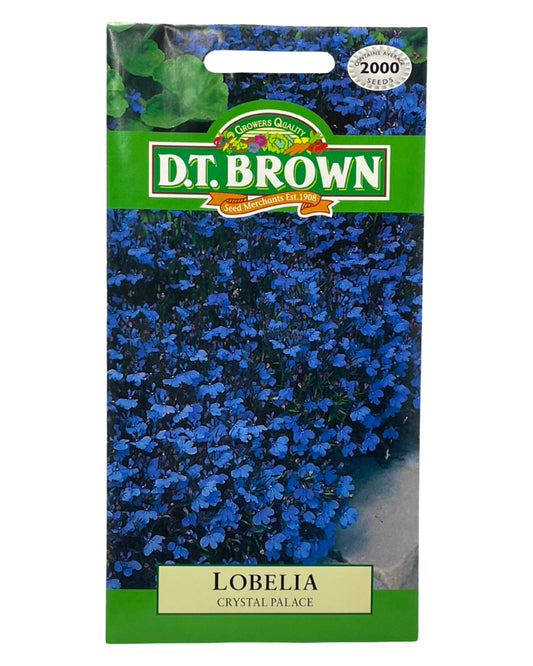 D.T Brown Lobelia Crystal Palace Seeds 2000 Pack