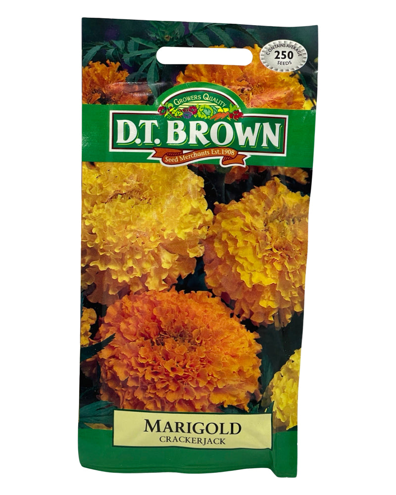 D.T Brown Marigold Crackerjack Seeds 250 Pack