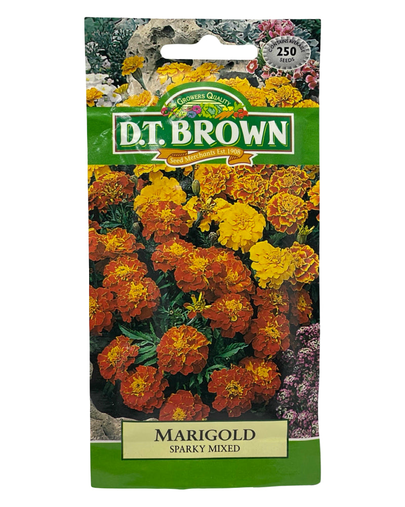 D.T Brown Marigold Sparky Mixed Seeds 250 Pack