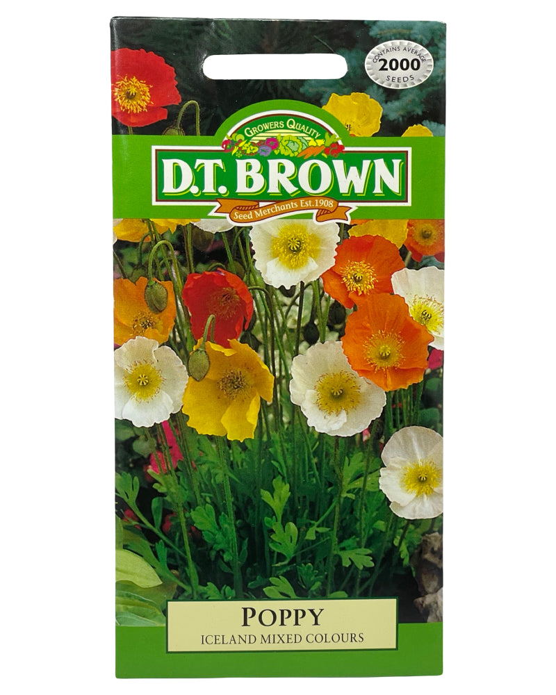 D.T Brown Poppy Iceland Mixed Colours Seeds 2000 Pack