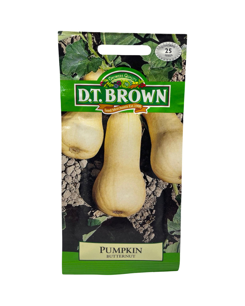 D.T Brown Pumpkin Butternut Seeds 2000 Pack