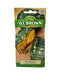 D.T. Brown Seeds - Pumpkin Queensland Blue - 10 Seed Pack