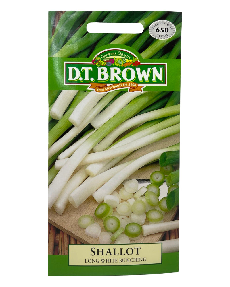 D.T Brown Shallot Long White Bunching Seeds 650 Pack