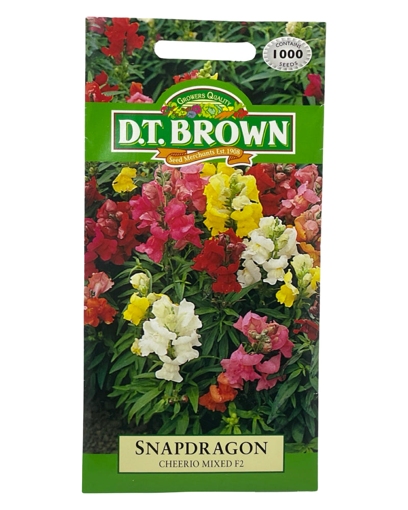 D.T Brown Snapdragon Cheerio Mixed F2 Seeds 500 Pack