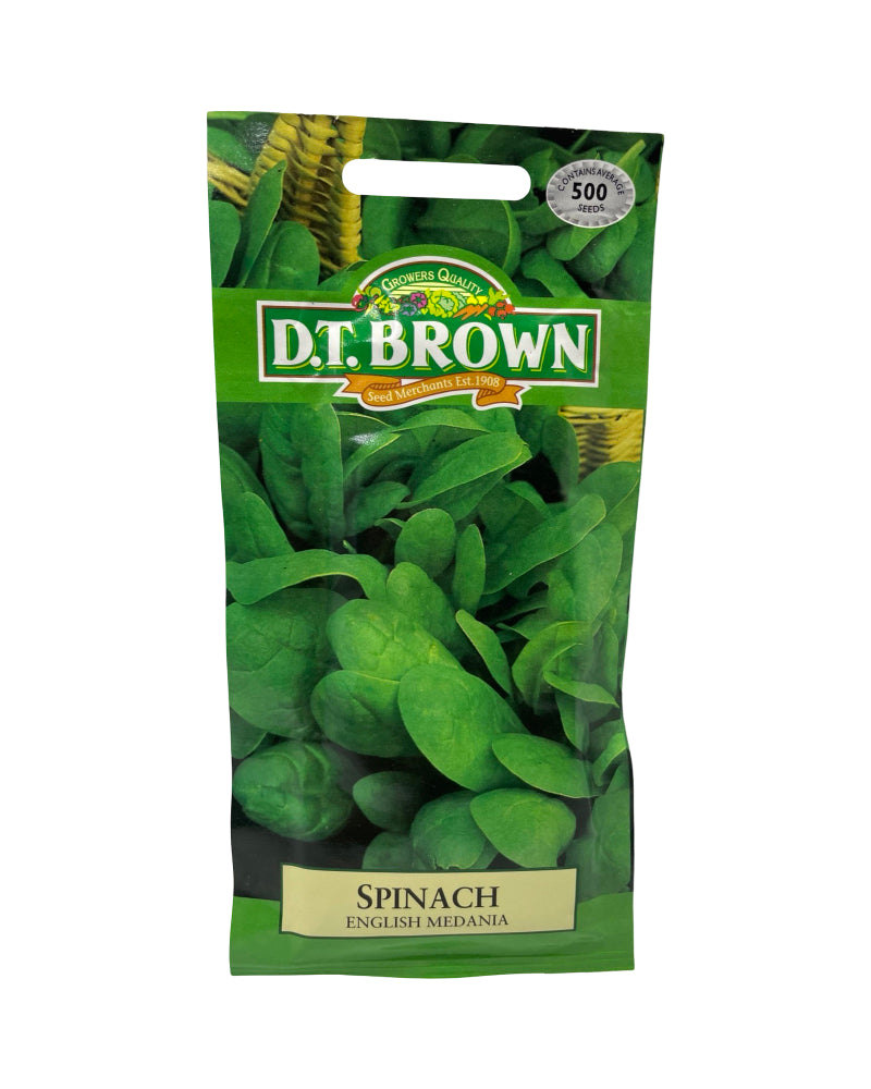 D.T Brown Spinach English Medania Seeds 500 Pack