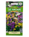 D.T Brown - Statice - 100 seed pack