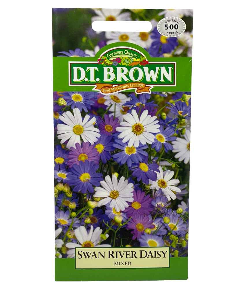 D.T Brown Swan River Daisy Mixed Seeds 500 Pack