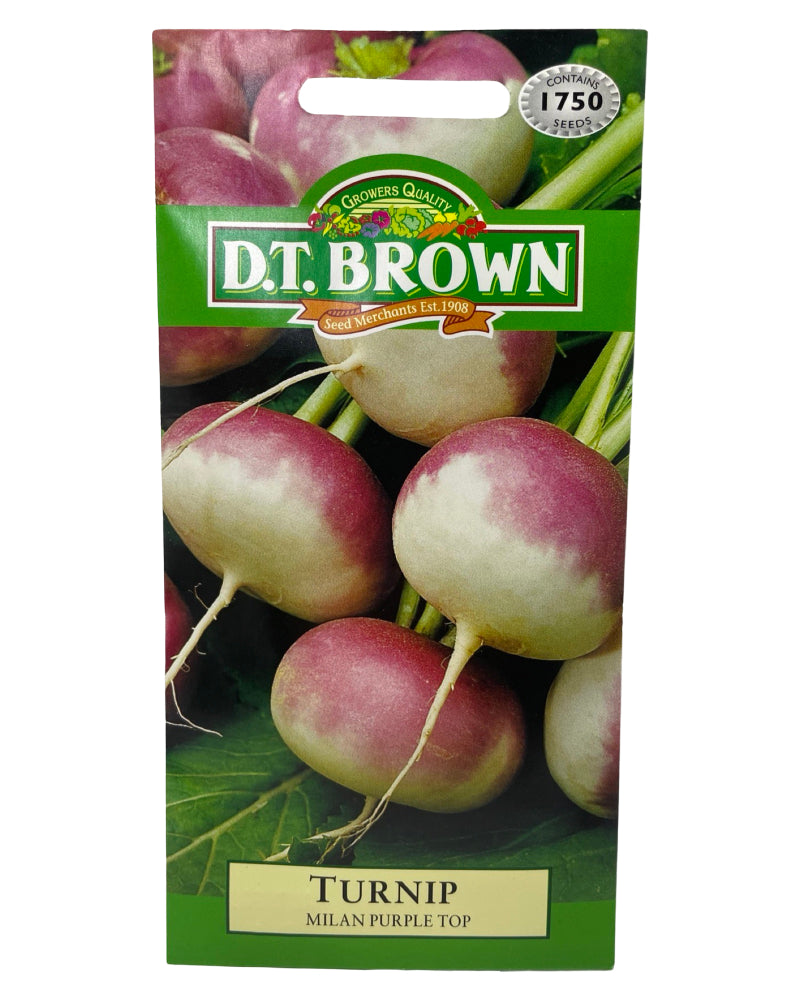 D.T Brown Turnip Milan Purple Top Seeds 1750 Pack