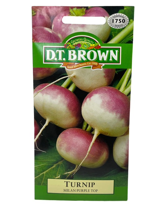 D.T Brown Turnip Milan Purple Top Seeds 1750 Pack