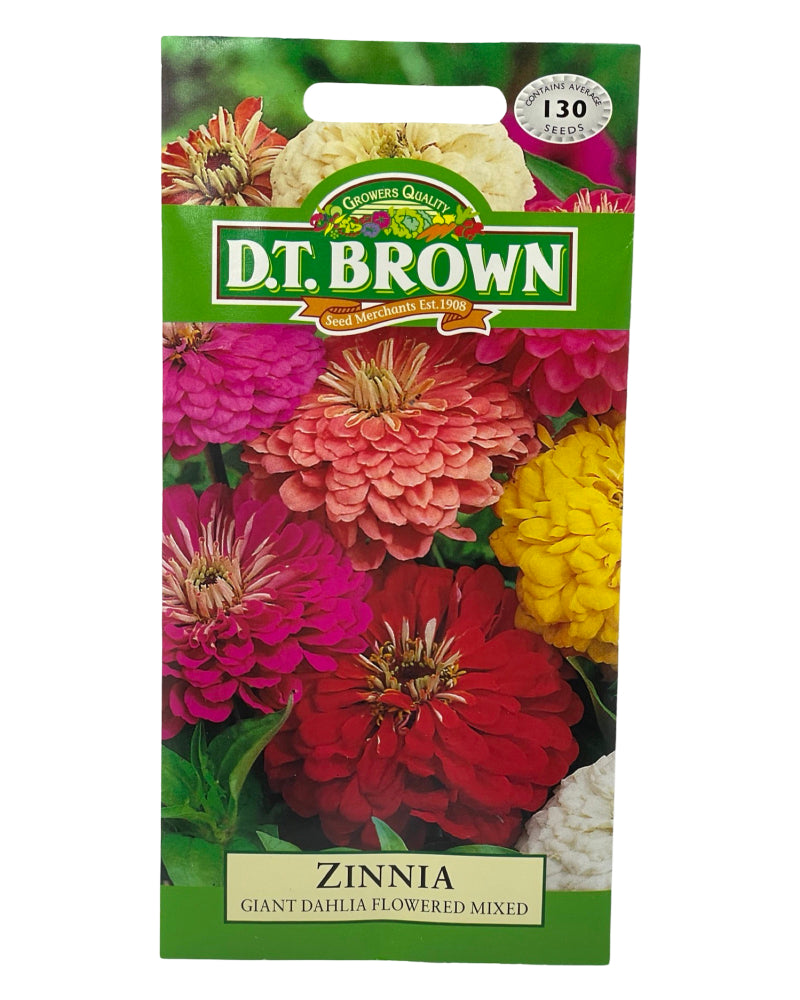 D.T Brown Zinnia Giant Dahlia Flowered Mixed Seeds 130 Pack