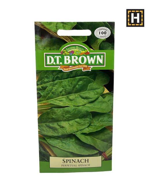 D.T. Brown Seeds - Spinach Perpetual Spinac - 100 Seed Pack