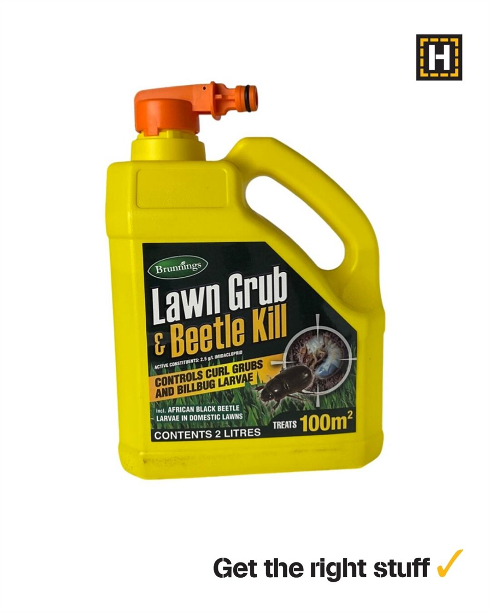 Lawn Grub & Beetle Kill Hose On 2L view 2
